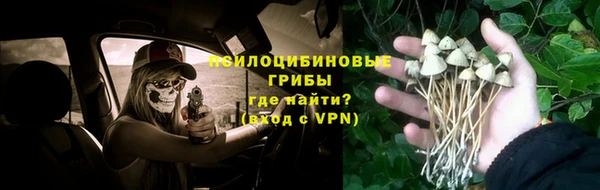 первитин Покров