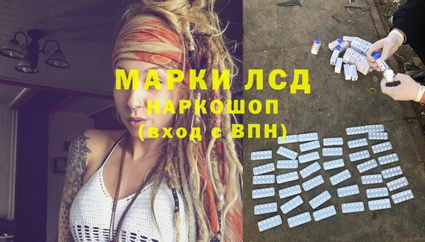 гашик Балахна